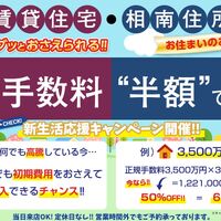 画像1264