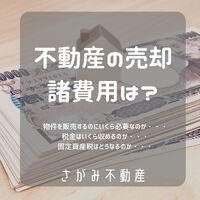 画像1268