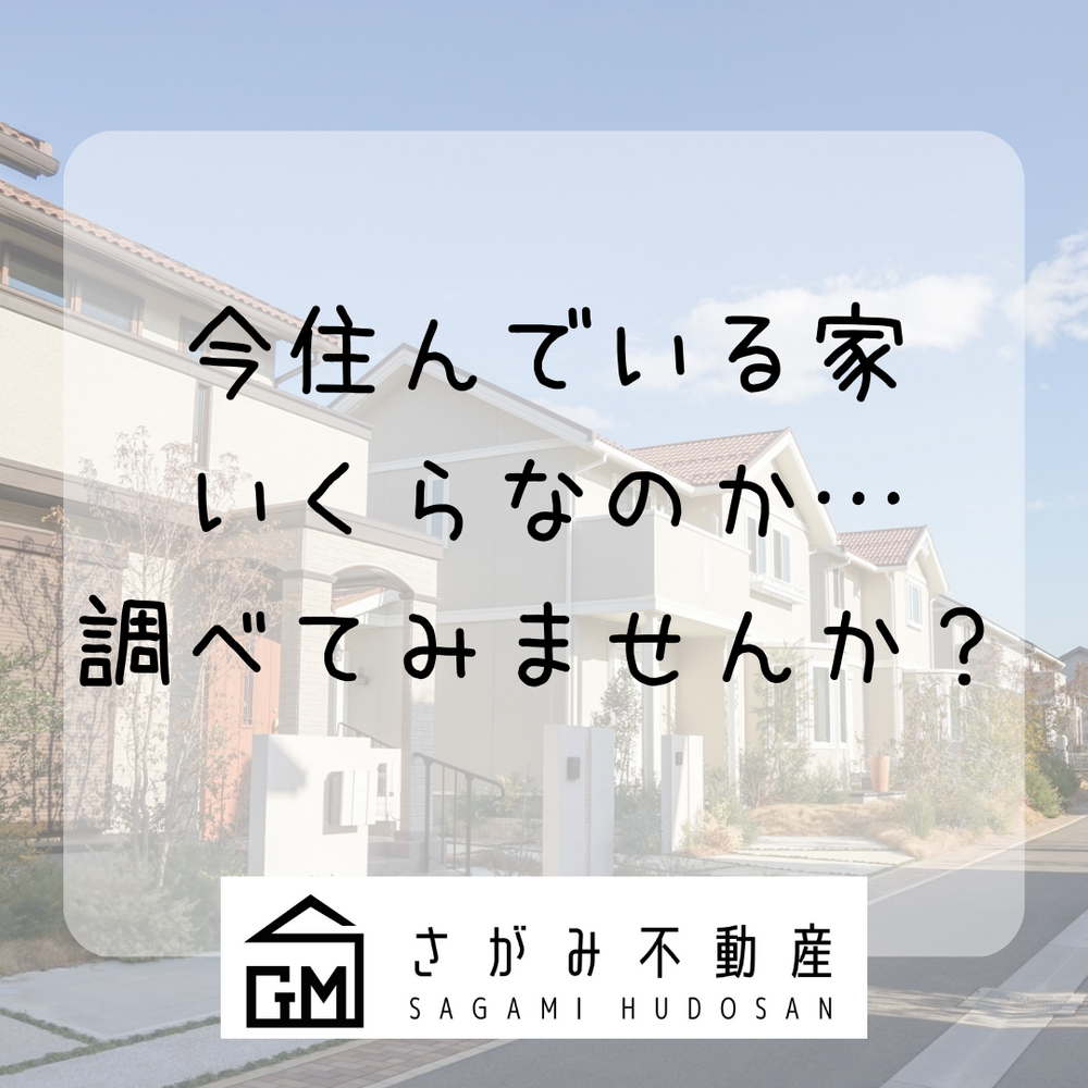 画像1274