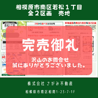 画像1286