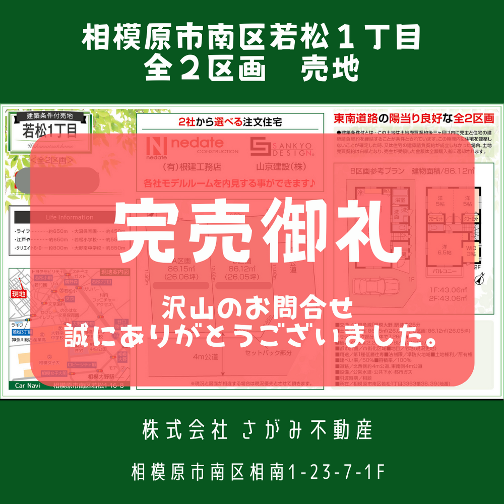 画像1286