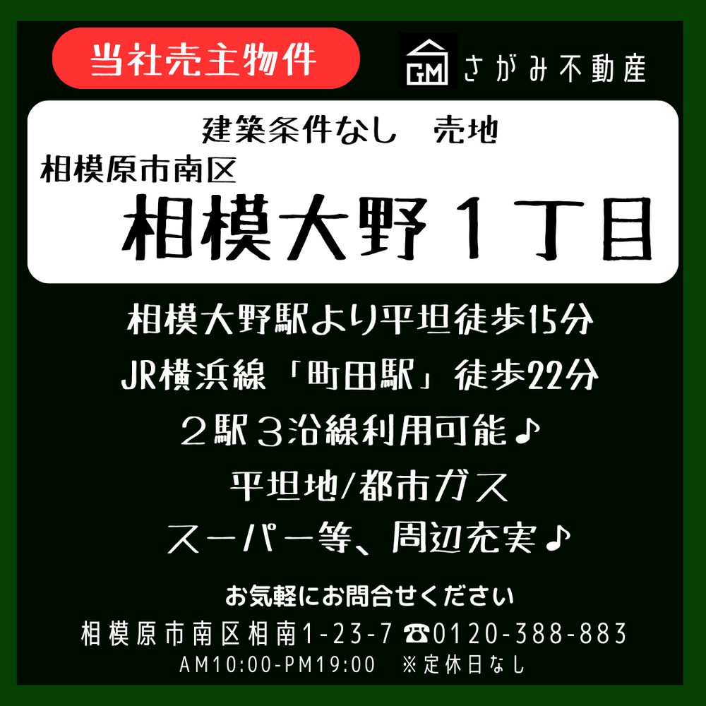 画像1298